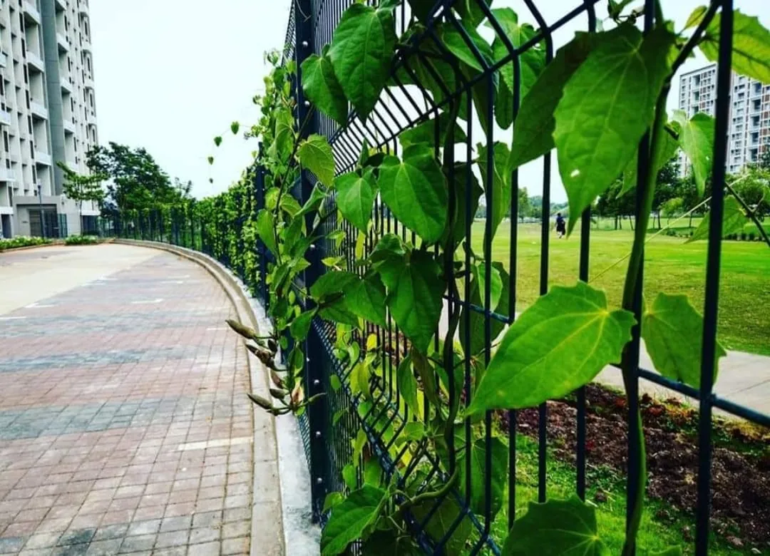 UNICOPRO Fencing